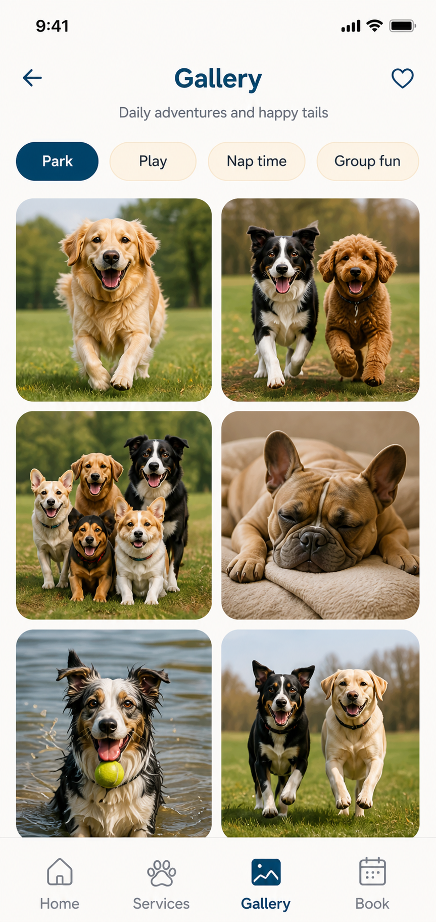 Crate Escape app gallery — daily photo updates of dogs at play